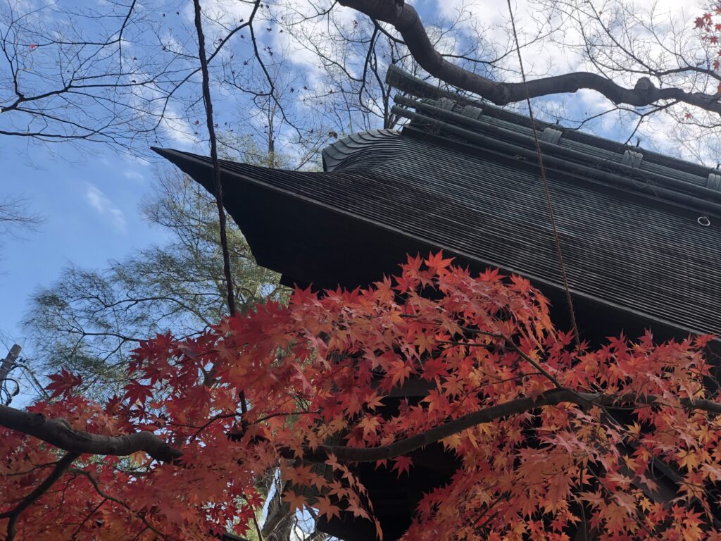 息を吸うように嘘をつく。自分を大切にするとは?