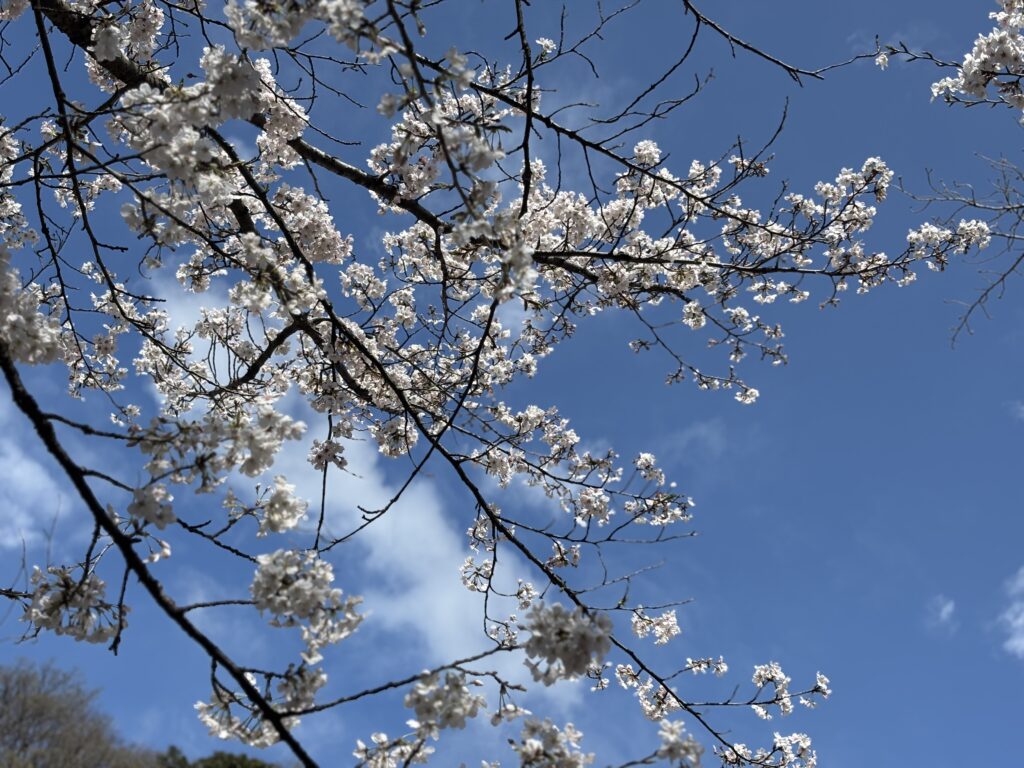 「変わりたいけど変われない…」「今、どうしたい？」を見つけて未来を変える