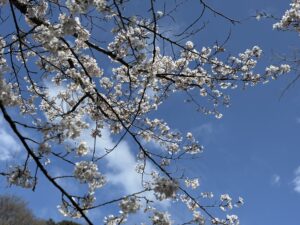 「変わりたいけど変われない…」「今、どうしたい？」を見つけて未来を変える