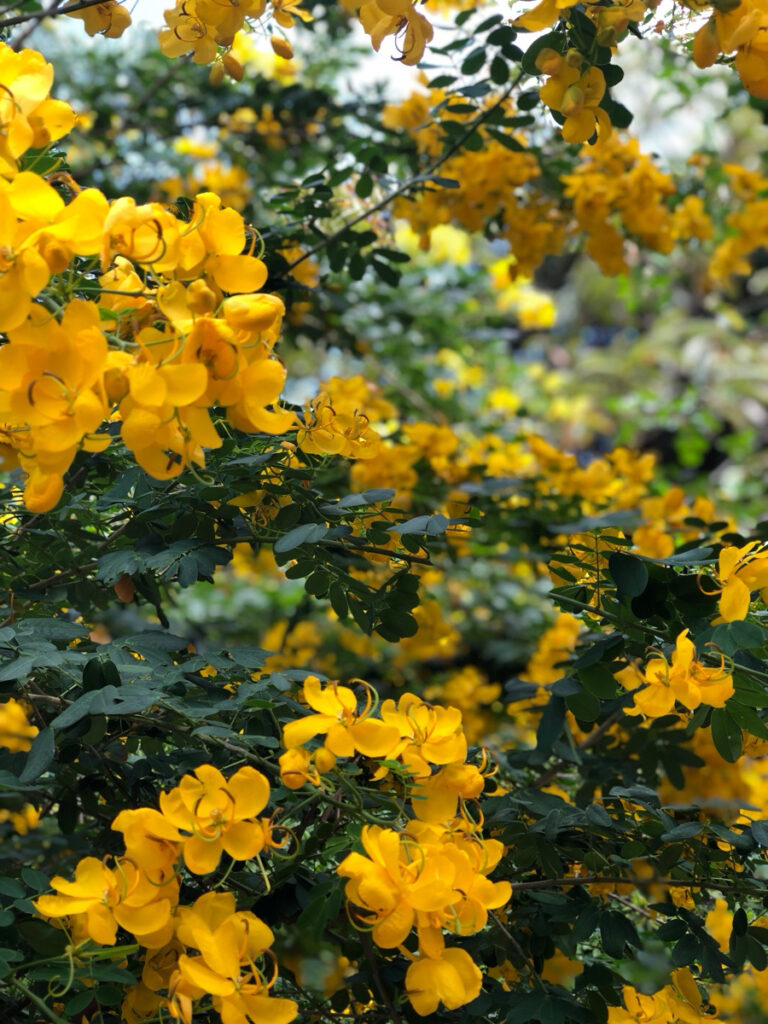 記事校正、注文代行、コンサルと事業サポートは多岐にわたります ｜個人コンサル