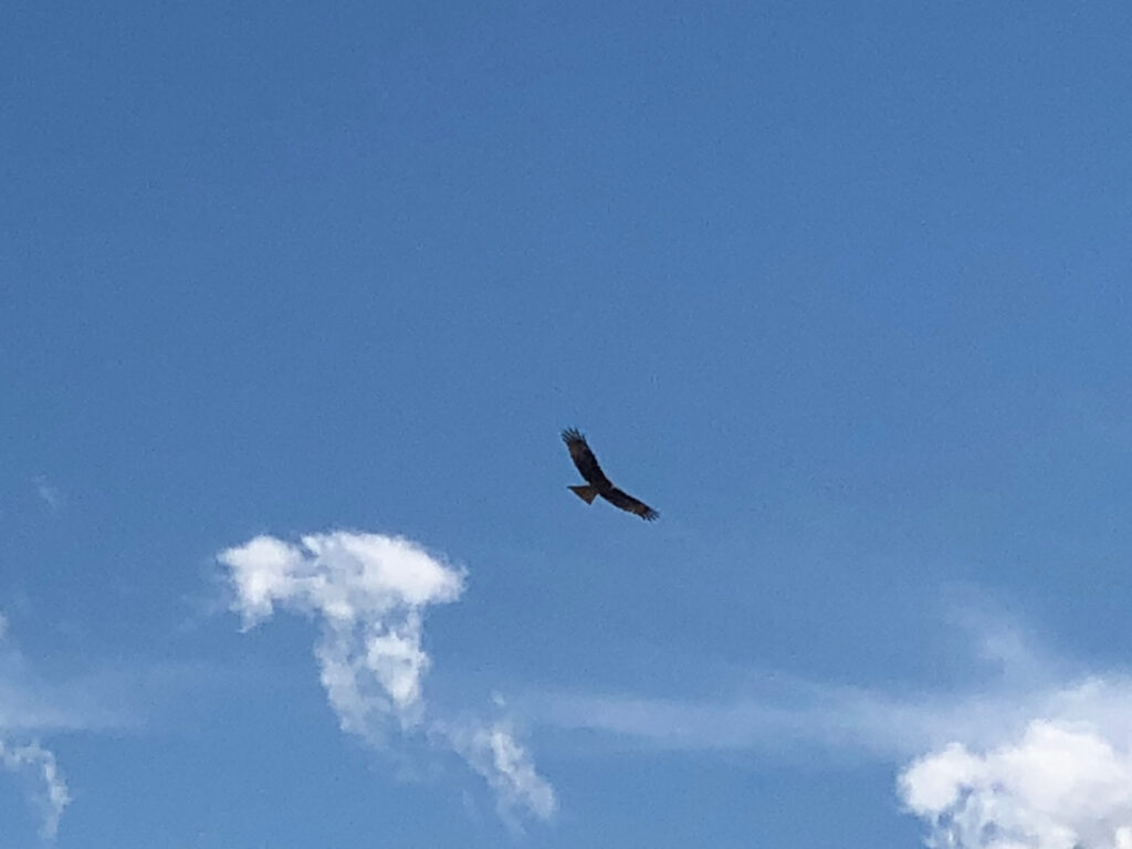 「やるべきこと」と「やらないこと」 を見極める。